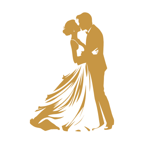 Favicon - Dance Floors Wraps