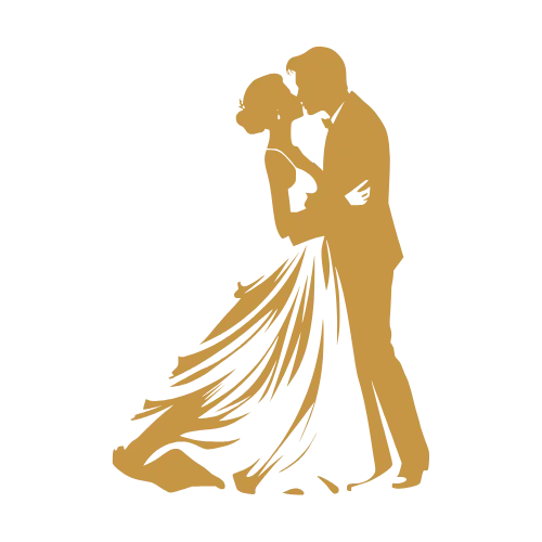 Favicon - Dance Floors Wraps